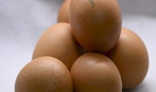 Rusya, yeni yılda Türkiye'den 1,5 milyon adet yumurta ithal etti