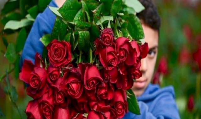 Sevgiller Günü yaklaştı! Gül üreticilerinde yoğunluk başladı