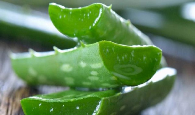 Terlemeye son! Sizi kokudan kurtaracak o mucizevi bitki...