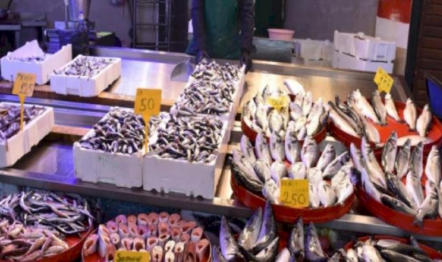 Trabzon'da, fırtına ve soğuk hava hamsi fiyatını vurdu: Kilosu 100 lira