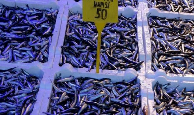 Trabzon'da kilosu 60 TL’den satılan hamsi yeni yılın ilk gününde 50 TL’ye geriledi