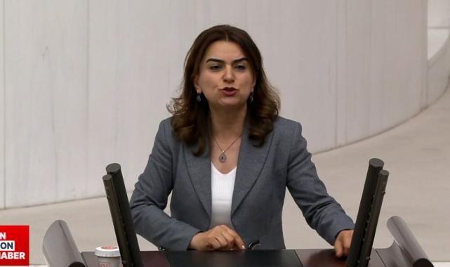 TBMM Genel Kurulu'nda 'Kürdistan' tartışması: DEM Parti Grup Başkanvekili Koçyiğit'in sözleri tepki çekti