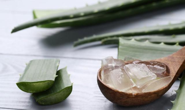 Terlemeye son! Sizi kokudan kurtaracak o mucizevi bitki...