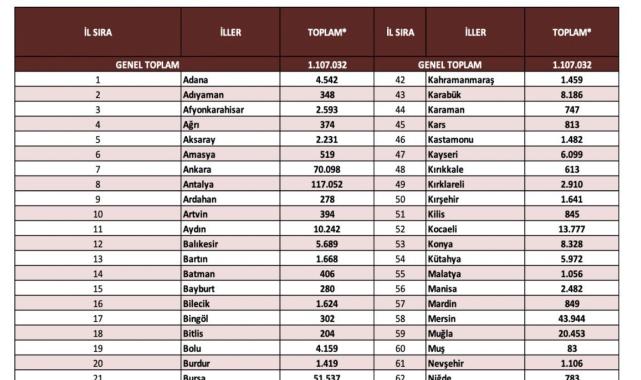 Türkiye'de ikamet izniyle yaşayan yabancı sayısında düşüş