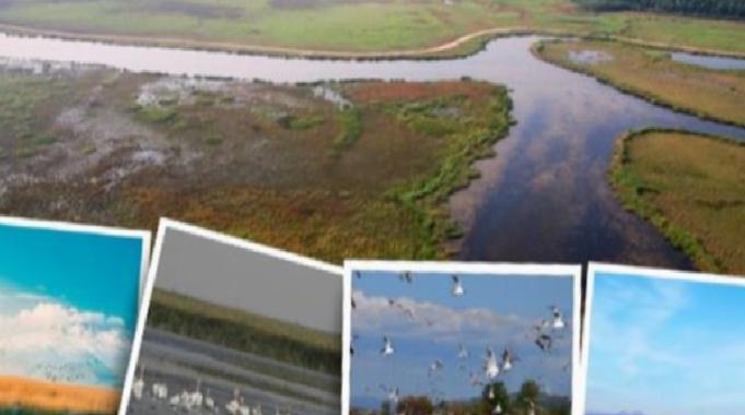 6 bini aşkın sulak alan kayıt altında