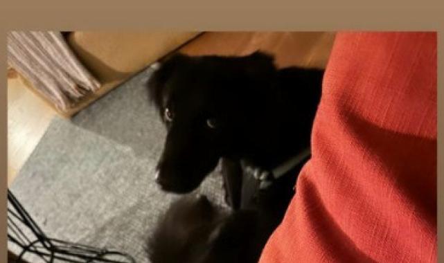 Anne Aslı Enver'in ev halleri! Takipçileri beğeni yağdırdı