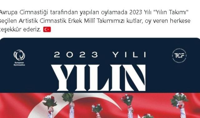 Artistik Cimnastik Erkek Milli Takımı, Avrupa'da yılın takımı