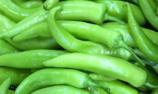 Batı Akdeniz'in sebze ihracatına seralar destek veriyor