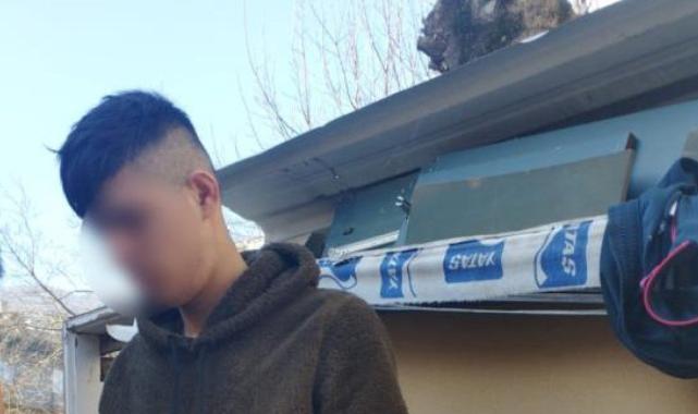 Bursa'da şaşkına çeviren anlar: Polisten kaçmak için ağaca çıktı