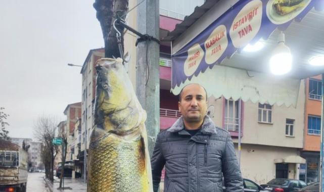 Elazığ'da ağa takılan yaklaşık 2 metrelik dev turna şaşırttı