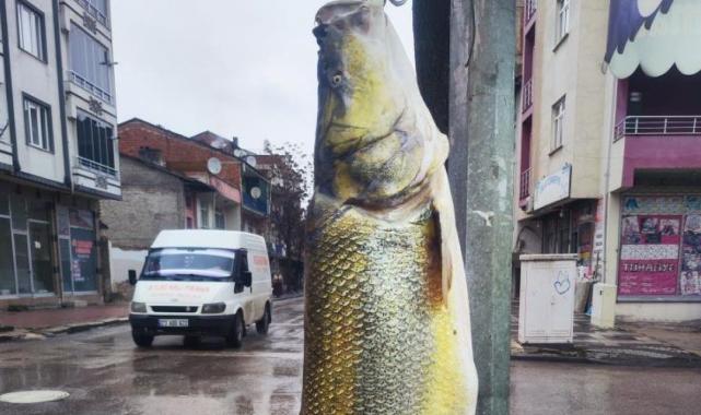 Elazığ'da ağa takılan yaklaşık 2 metrelik dev turna şaşırttı