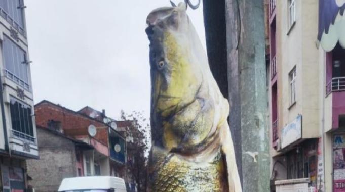 Elazığ&#039;da ağa takılan yaklaşık 2 metrelik dev turna şaşırttı