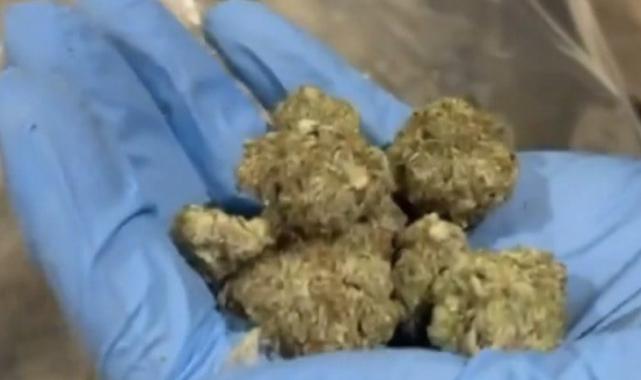 Gümrük Muhafaza görevde! İstanbul'da 430 kilo ve Edirne'de 33 kilo uyuşturucu yakalandı