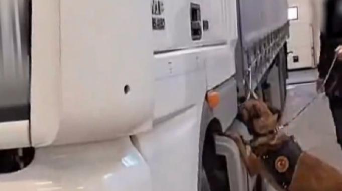 Gümrük Muhafaza görevde! İstanbul'da 430 kilo ve Edirne'de 33 kilo uyuşturucu yakalandı