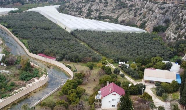 Hakiki Türk kahvesi geliyor! Mersinli üretici ilk ürünlerini aldı