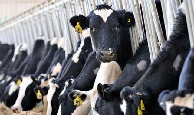 İbrahim Yumaklı: IPARD-II Programı kapsamında 195 milyon lira hibe verilecek