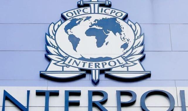 İngiltere'nin Interpol Genel Sekreter adayı Kavanagh: Türkiye'ye destek önemli