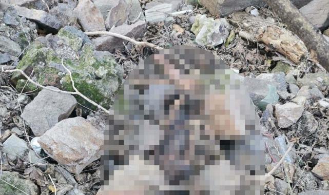 İzmir'de eşini öldürmüştü... Kemiklerini hurdacı buldu