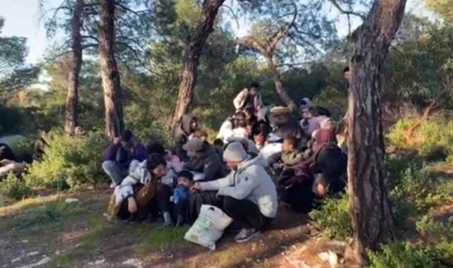 İzmir'de göçmen operasyonu! 92 düzensiz göçmen yakalandı
