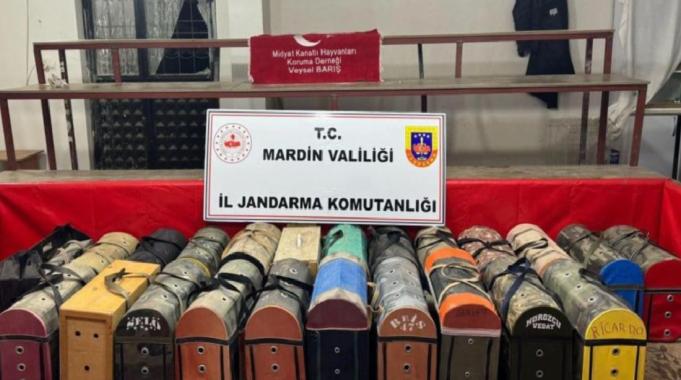 Mardin'de horoz dövüşçülerine operasyon: 578 bin 250 TL ceza