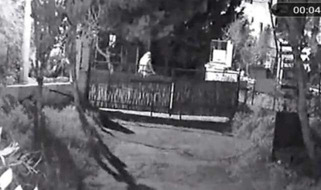 4 köpek ile 3 kediyi zehirleyerek öldüren şüpheli yakalandı