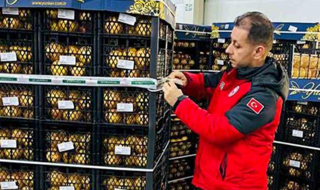 Muğla’da yetişen portakallar Ukrayna ve Polonya’ya gidiyor