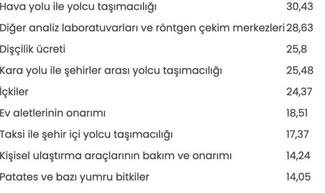 Ocakta fiyatı en çok artan ürün: Hava yolu ile yolcu taşımacılığı