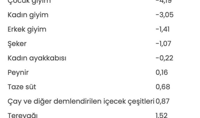 Ocakta fiyatı en çok artan ürün: Hava yolu ile yolcu taşımacılığı