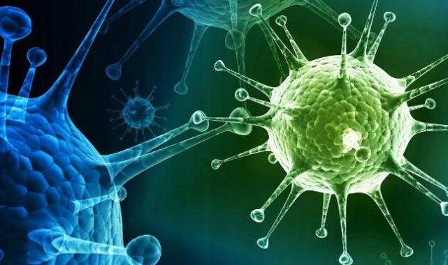 Prof. Fındık: X virüsü laboratuvar üretimi bir virüs