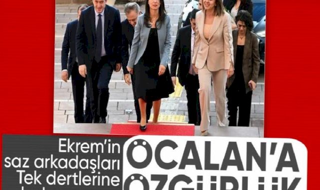 DEM Partililer yine Öcalan'a özgürlük istedi