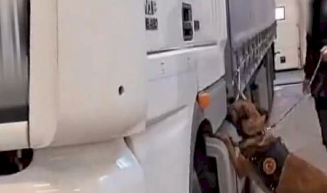 Gümrük Muhafaza görevde! İstanbul'da 430 kilo ve Edirne'de 33 kilo uyuşturucu yakalandı