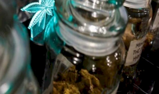 Tayland, esrarın eğlence amaçlı kullanımını yasaklayacak