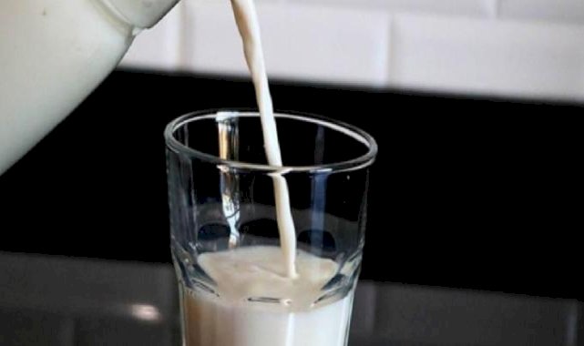 Türkiye'de toplanan inek sütü miktarı arttı