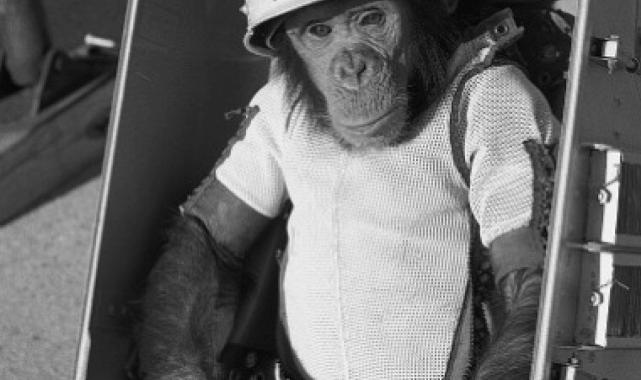 Vakanüvis yazdı: Uzaydan biraz da korkalım...