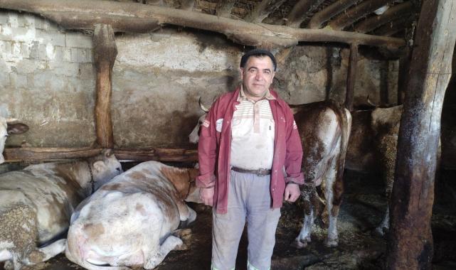 Yozgatlı sütçü, fiyatı vatandaşın alım gücüne göre belirliyor! Memura, emekliye, asgari ücretliye farklı fiyat