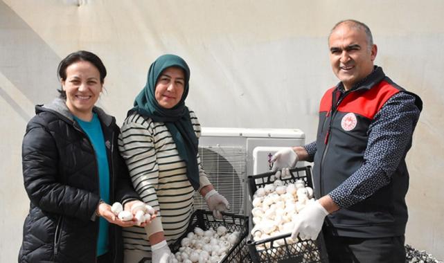 Aksaraylı kadın girişimci devletten destek aldı! Atıl araziyi tarıma kazandırdı