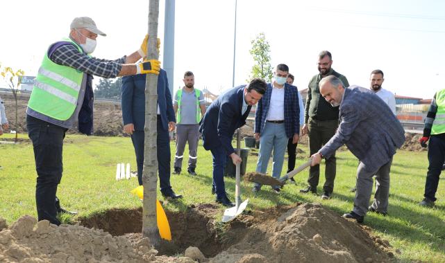 Başkan Aktaş: ''Bursa 5 yıl öncesinden çok daha yeşil ve yaşanabilir bir şehir olacak"
