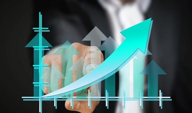 Borusan Yatırım'dan kar dağıtımı kararı