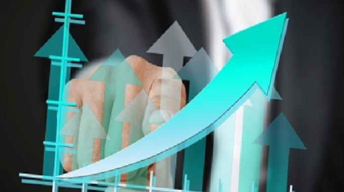 Borusan Yatırım&#039;dan kar dağıtımı kararı