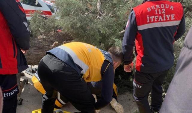 Burdur'da belediye başkan adayı ve oğlunun üzerine ağaç devrildi