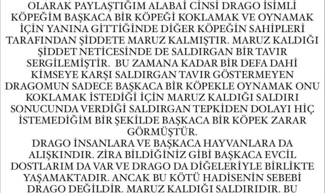 Fenomen Banu Parlak hakkında yeni şikayet: Köpeği, cins köpeği parçaladı!