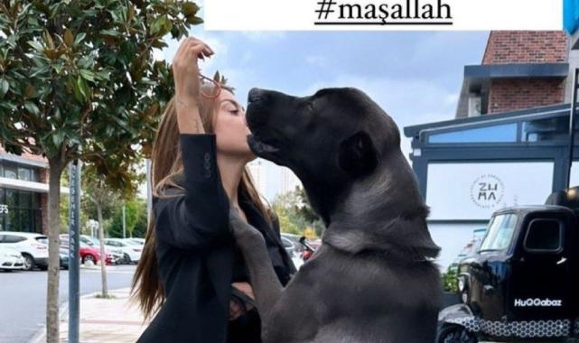 Fenomen Banu Parlak hakkında yeni şikayet: Köpeği, cins köpeği parçaladı!