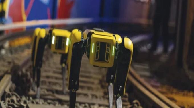 Gelecekte hayatımız onlara emanet: İşte son teknoloji 10 kurtarma robotu
