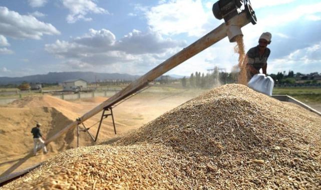 Güneydoğu'dan hububat ihracatı miktar ve kazançta artış gösterdi