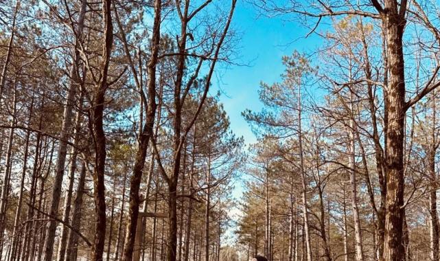 İlk kez anne olma heyecanı yaşayan Yıldız Çağrı Atiksoy son halini paylaştı