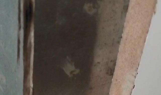 İstanbul'da yaptırdığı çelik deprem kabini başına bela oldu