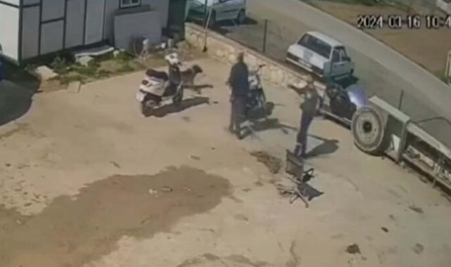 İzmir'de kedisini öldüren köpeği hortumla dövdü