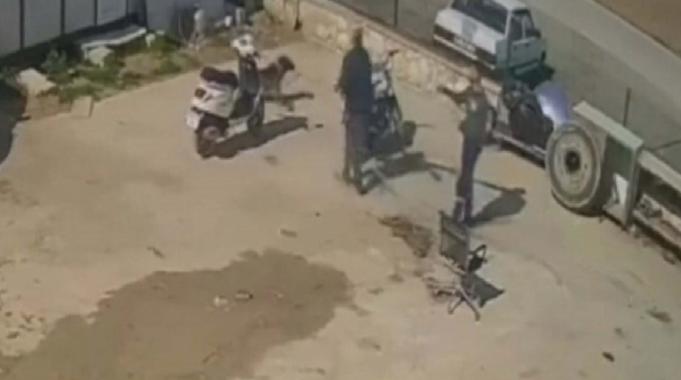 İzmir'de kedisini öldüren köpeği hortumla dövdü