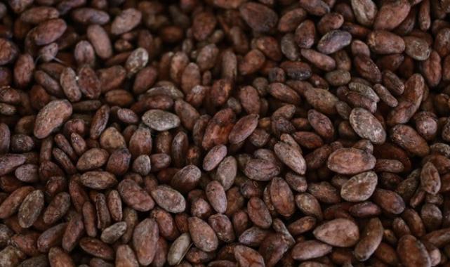 Kakao fiyatları rekor kırmaya devam etti! Çikolata fiyatlarının artması bekleniyor