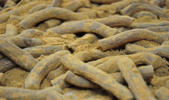 Manisa'da festival heyecanı: Mesir macunları geleneksel yöntemle hazırlanıyor